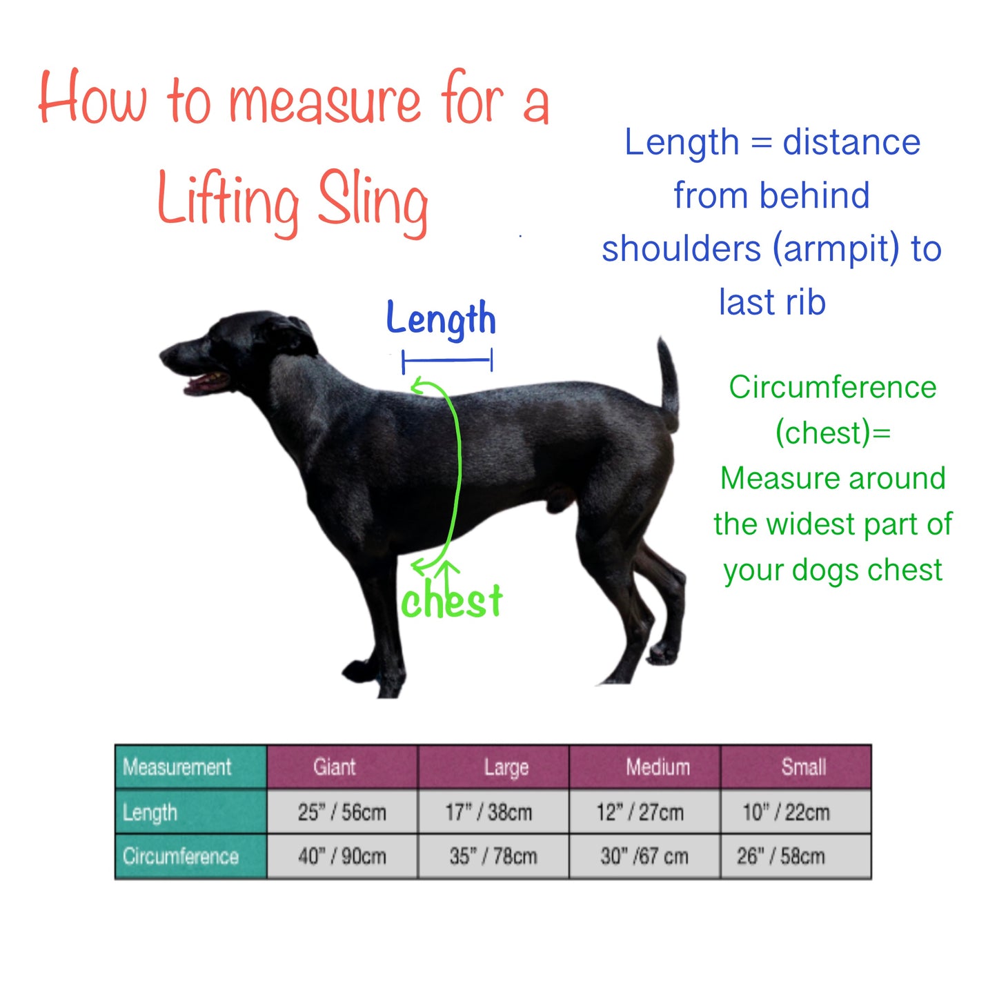 Lifting Harness/Sling