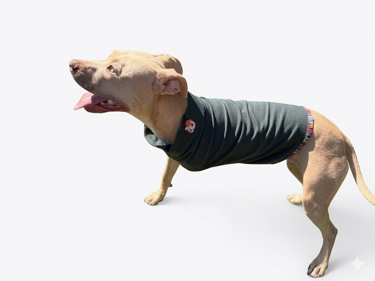 Post Surgical Recovery Shirt