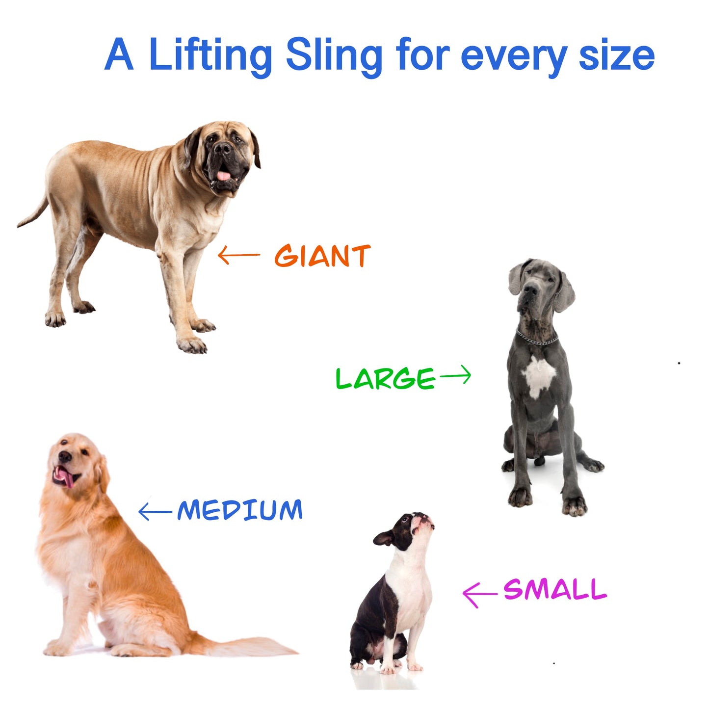 Lifting Harness/Sling