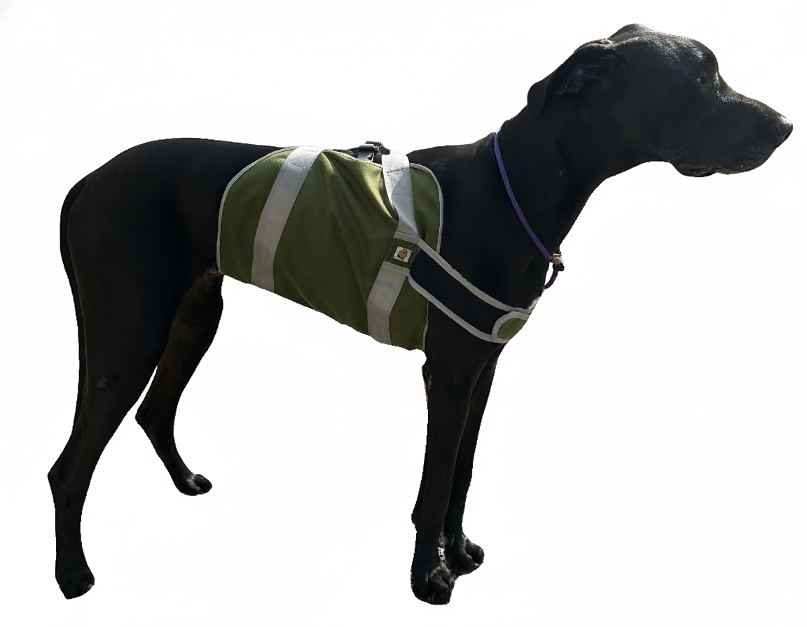 Lifting Harness/Sling