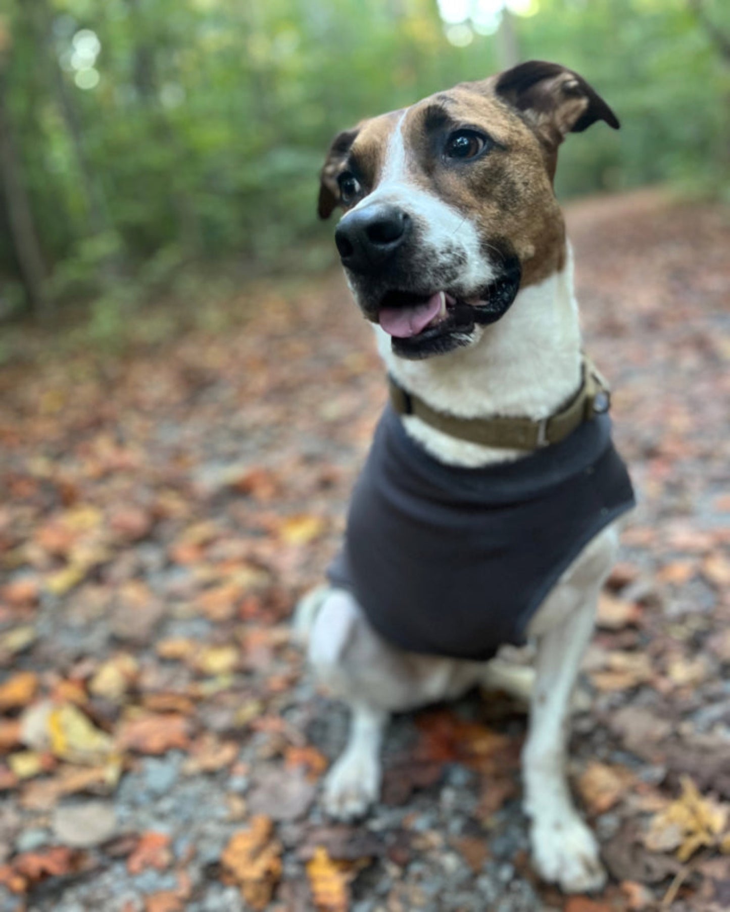 Crewneck Sweatshirt