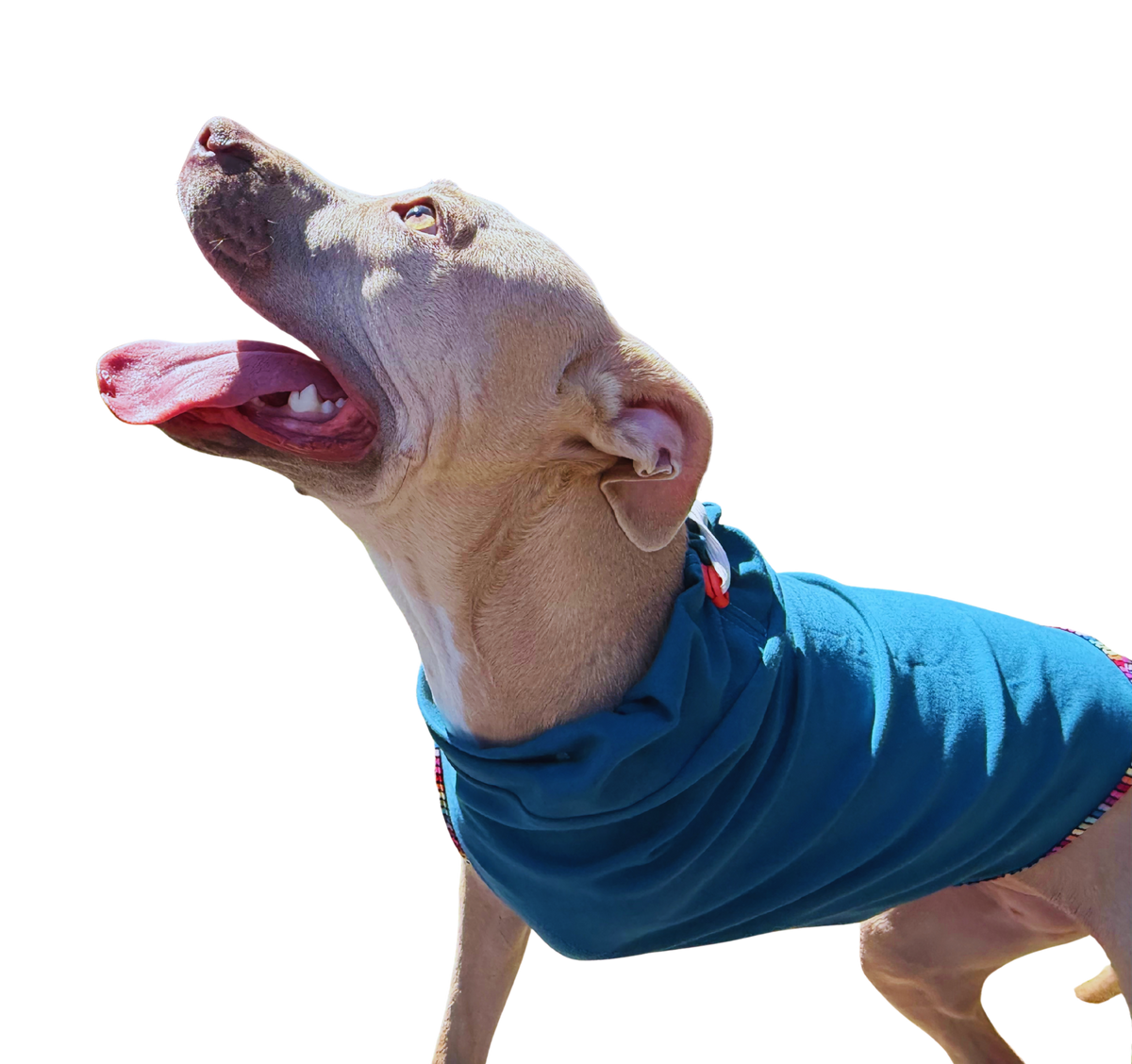 Post Surgical Recovery Shirt
