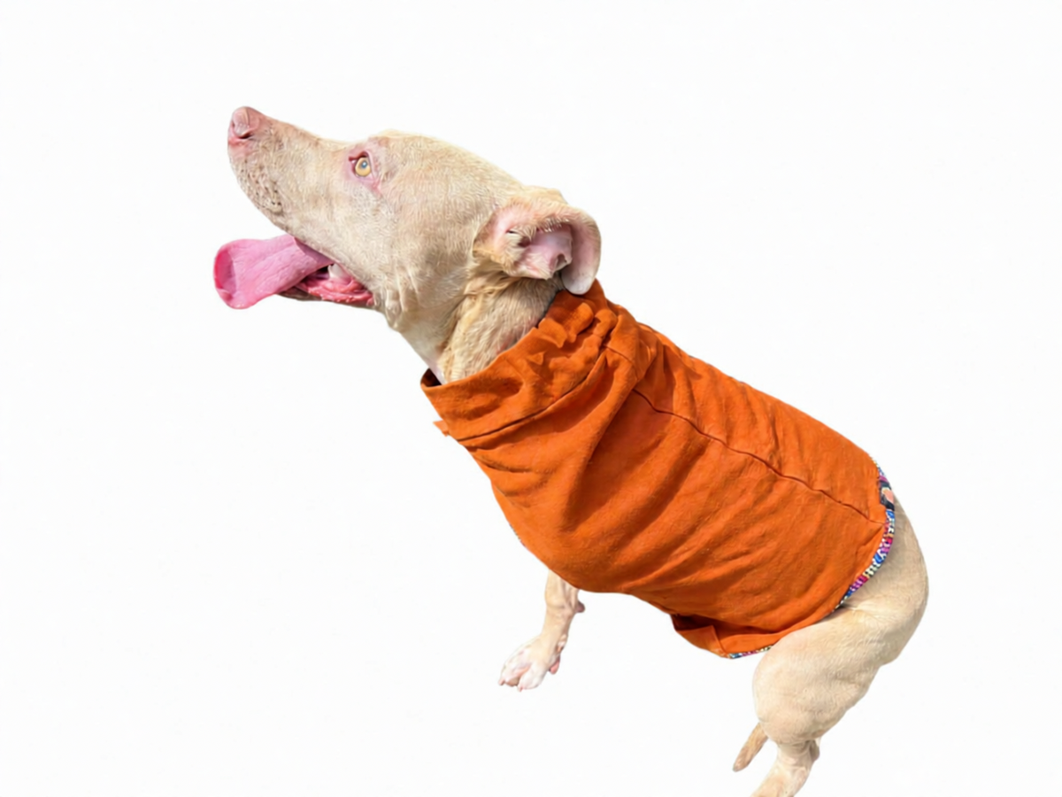 Post Surgical Recovery Shirt