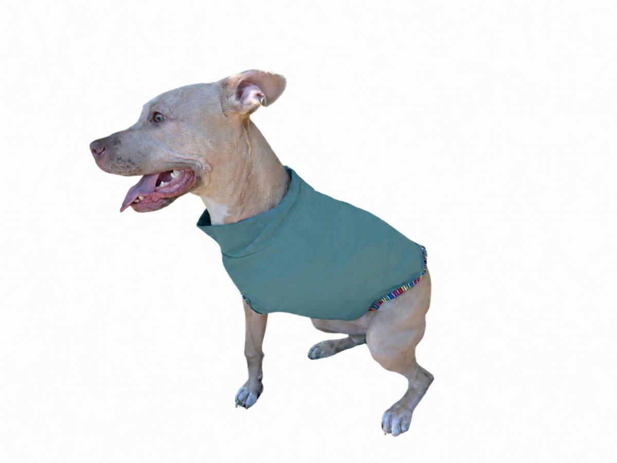 Post Surgical Recovery Shirt